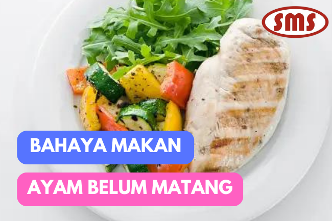 Bahaya Tersembunyi di Balik Daging Ayam Tidak Matang